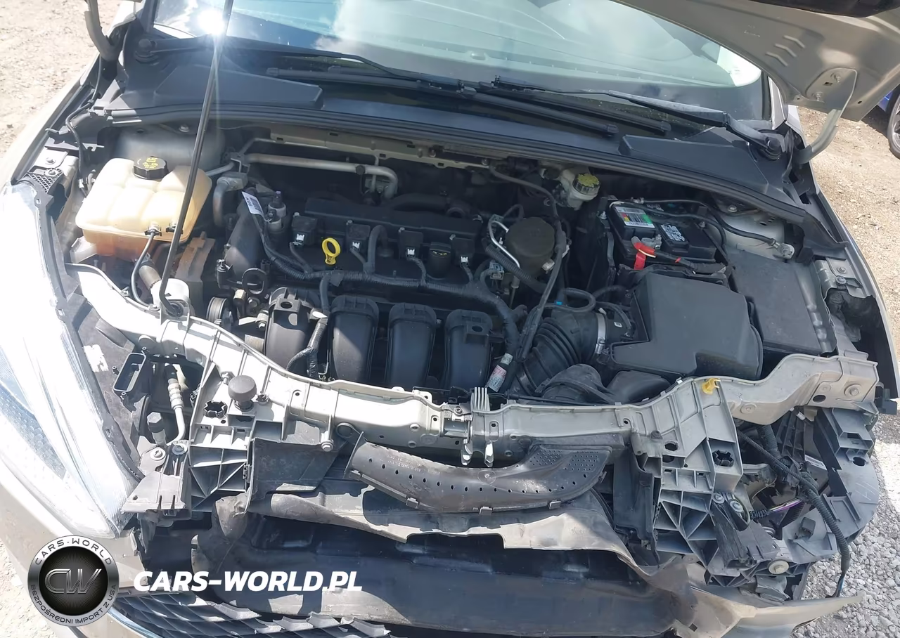 2015 Ford Focus Se VIN:1FADP3K21FL263687 - 10