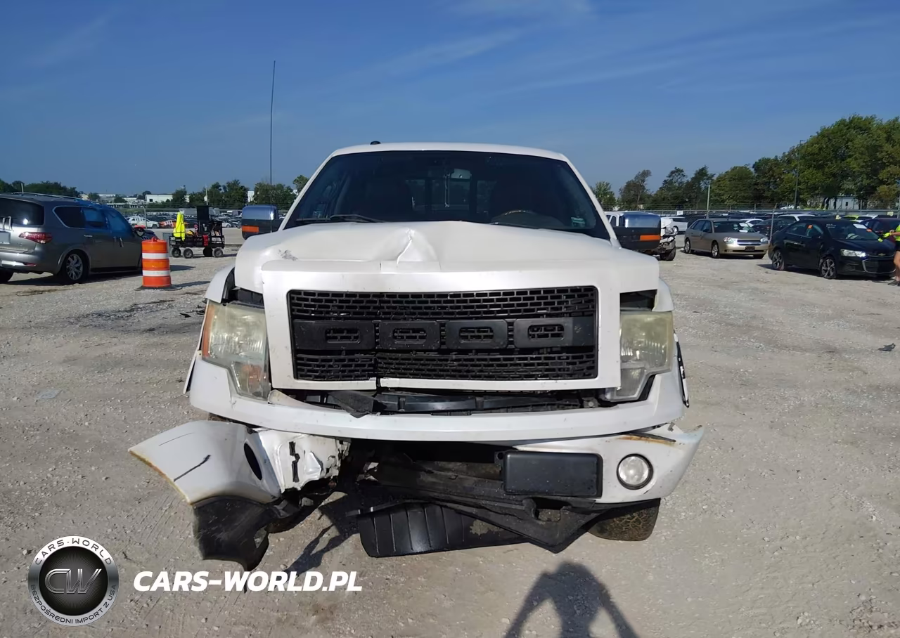2010 Ford F-150 Fx2 Sport-Harley-Davidson-King Ranch-Lariat-Platinum-Xl-Xlt VIN:1FTFW1CV7AFB48005 - 12