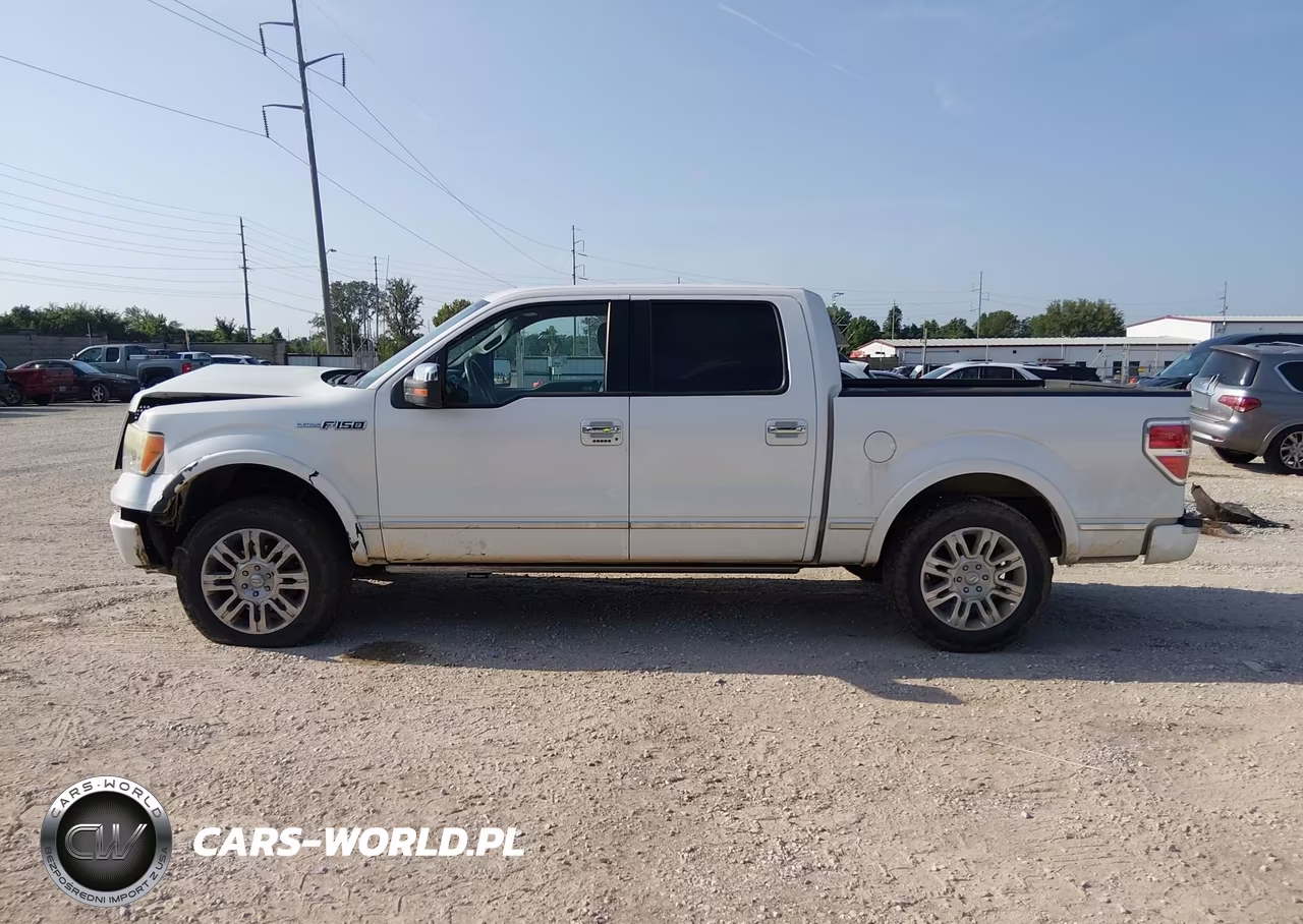 2010 Ford F-150 Fx2 Sport-Harley-Davidson-King Ranch-Lariat-Platinum-Xl-Xlt VIN:1FTFW1CV7AFB48005 - 14