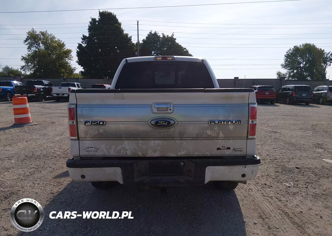 2010 Ford F-150 Fx2 Sport-Harley-Davidson-King Ranch-Lariat-Platinum-Xl-Xlt VIN:1FTFW1CV7AFB48005 - 16