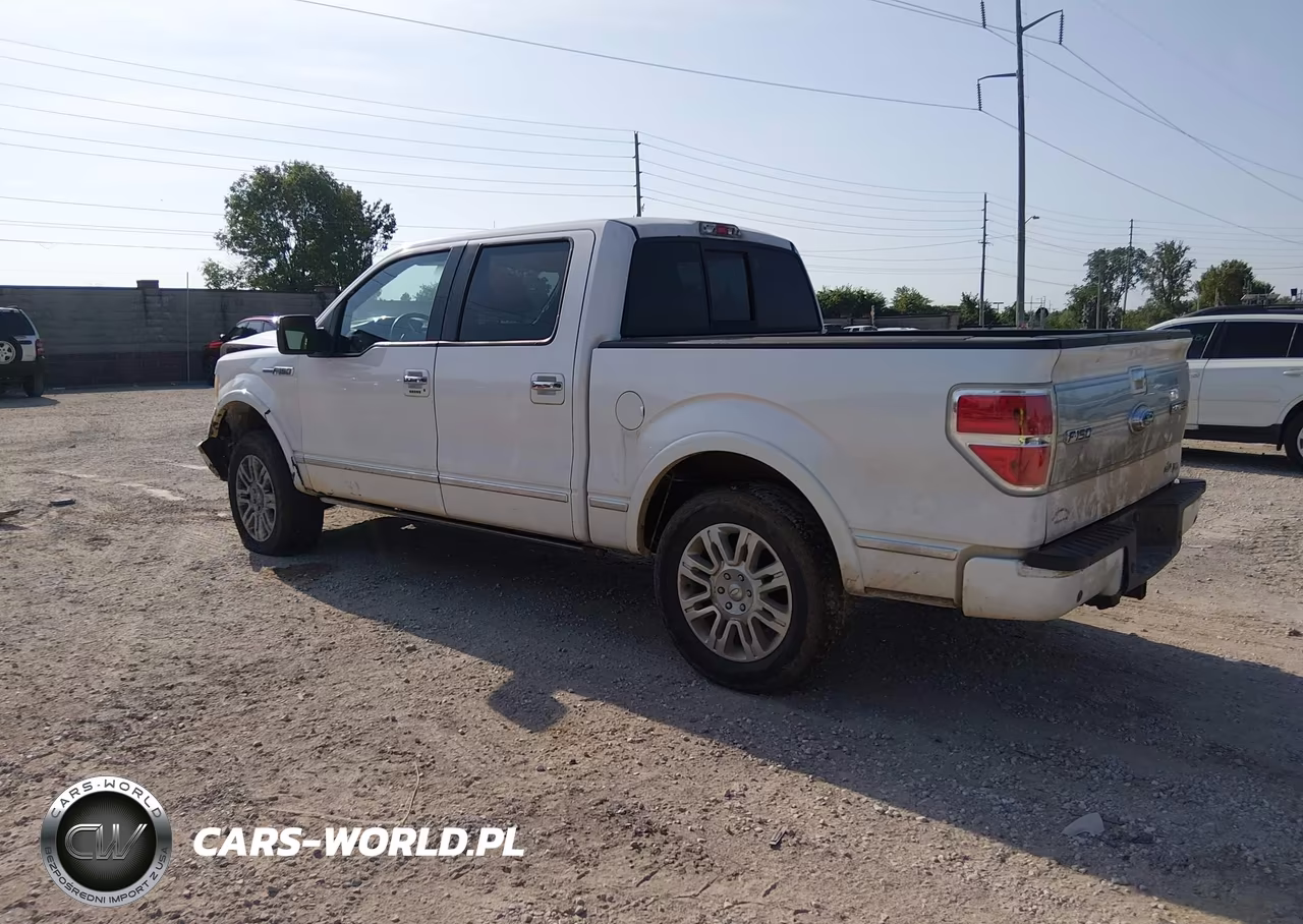 2010 Ford F-150 Fx2 Sport-Harley-Davidson-King Ranch-Lariat-Platinum-Xl-Xlt VIN:1FTFW1CV7AFB48005 - 3