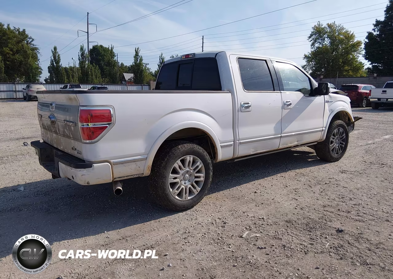 2010 Ford F-150 Fx2 Sport-Harley-Davidson-King Ranch-Lariat-Platinum-Xl-Xlt VIN:1FTFW1CV7AFB48005 - 4