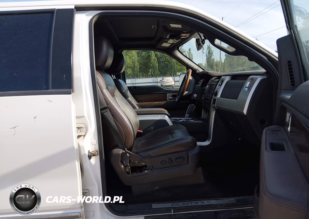 2010 Ford F-150 Fx2 Sport-Harley-Davidson-King Ranch-Lariat-Platinum-Xl-Xlt VIN:1FTFW1CV7AFB48005 - 5