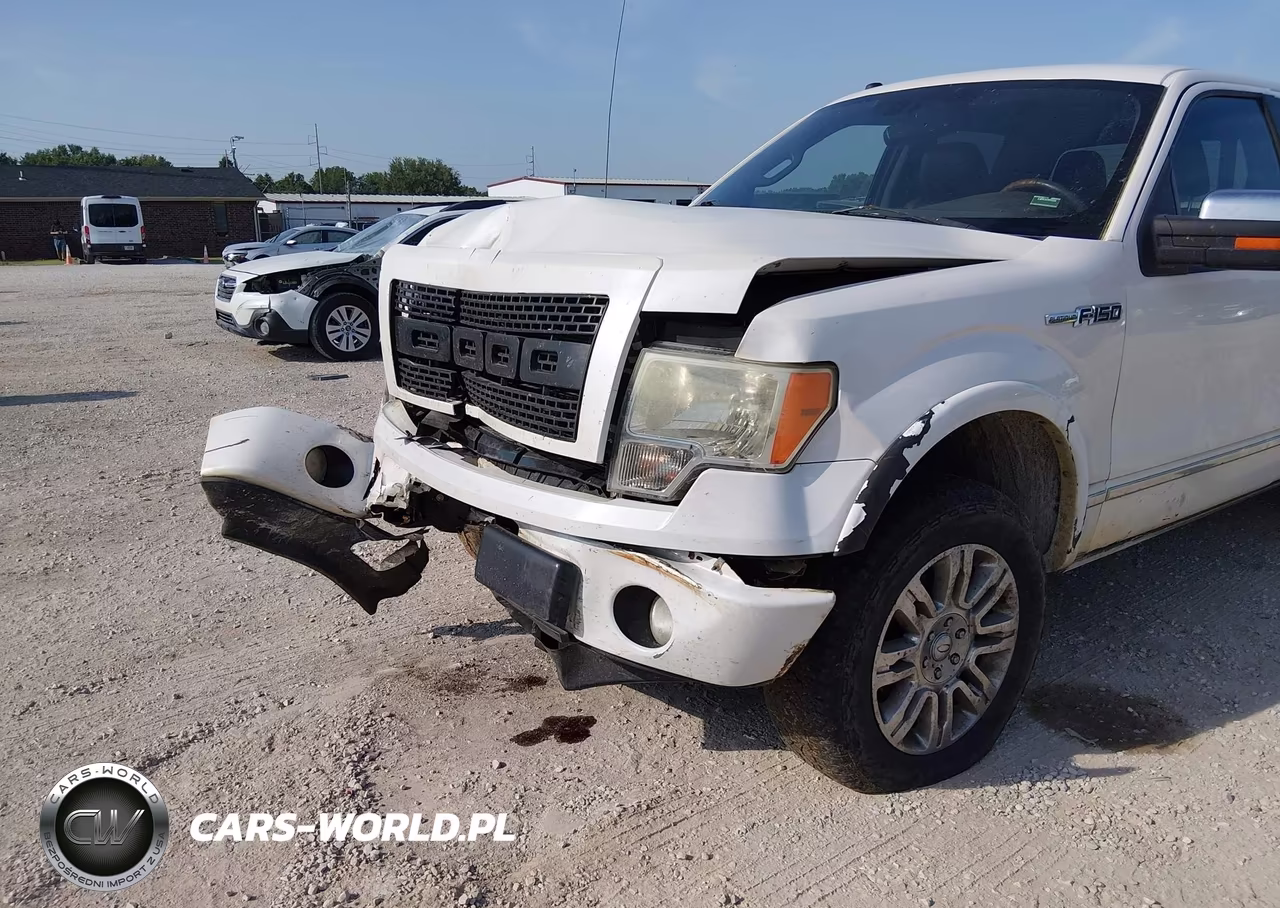 2010 Ford F-150 Fx2 Sport-Harley-Davidson-King Ranch-Lariat-Platinum-Xl-Xlt VIN:1FTFW1CV7AFB48005 - 6