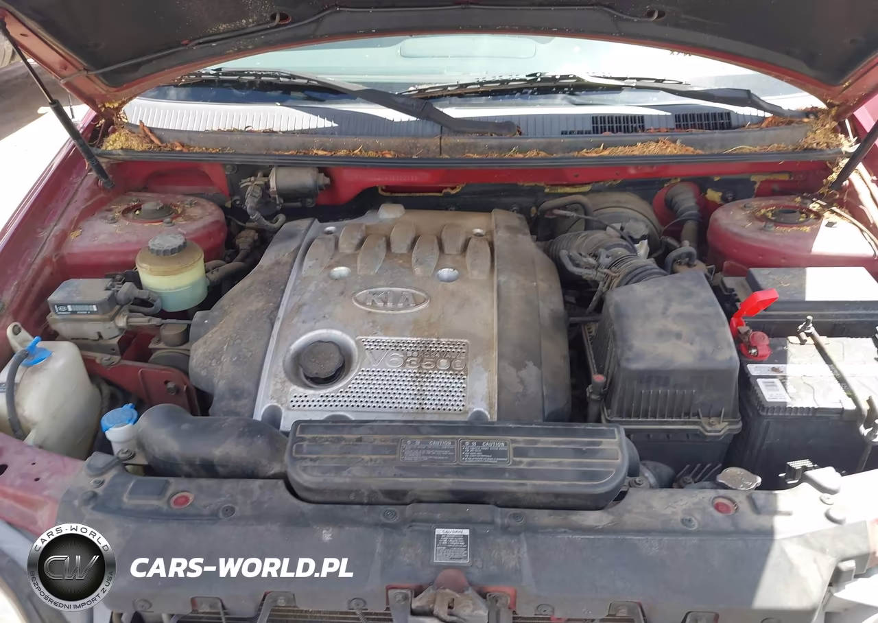 2003 Kia Sedona Ex-Lx VIN:KNDUP131436392182 - 10