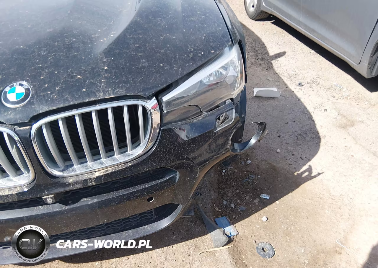 2017 BMW X3 Sdrive28I VIN:5UXWZ7C36H0V88429 - 6