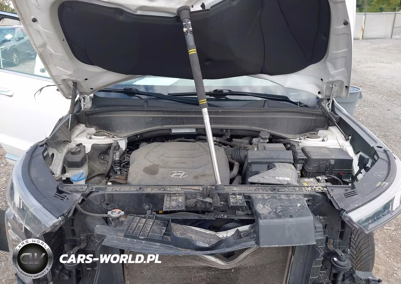2020 Hyundai Palisade Limited VIN:KM8R5DHE8LU104986 - 10