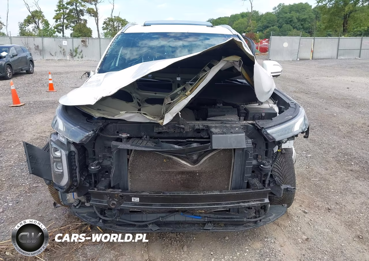 2020 Hyundai Palisade Limited VIN:KM8R5DHE8LU104986 - 13