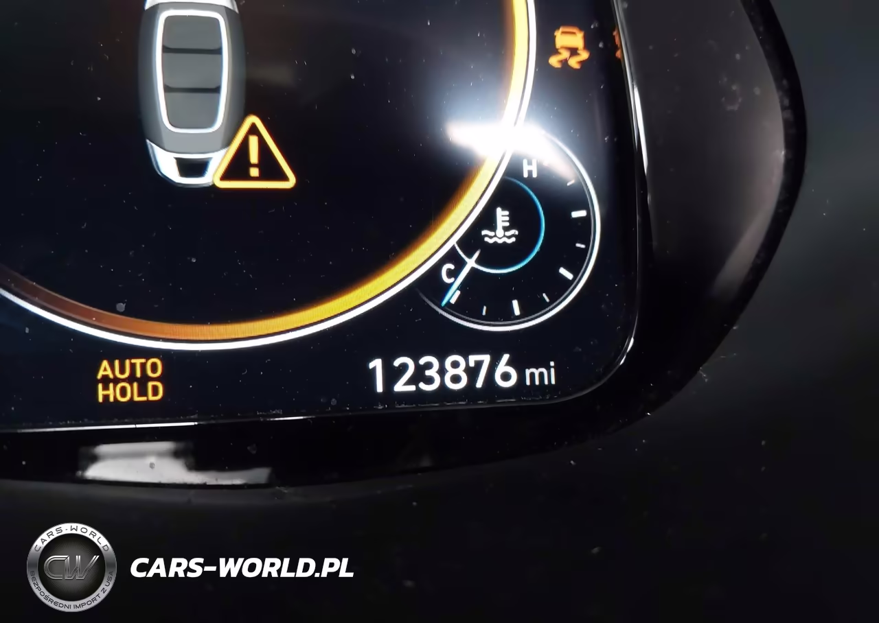 2020 Hyundai Palisade Limited VIN:KM8R5DHE8LU104986 - 16