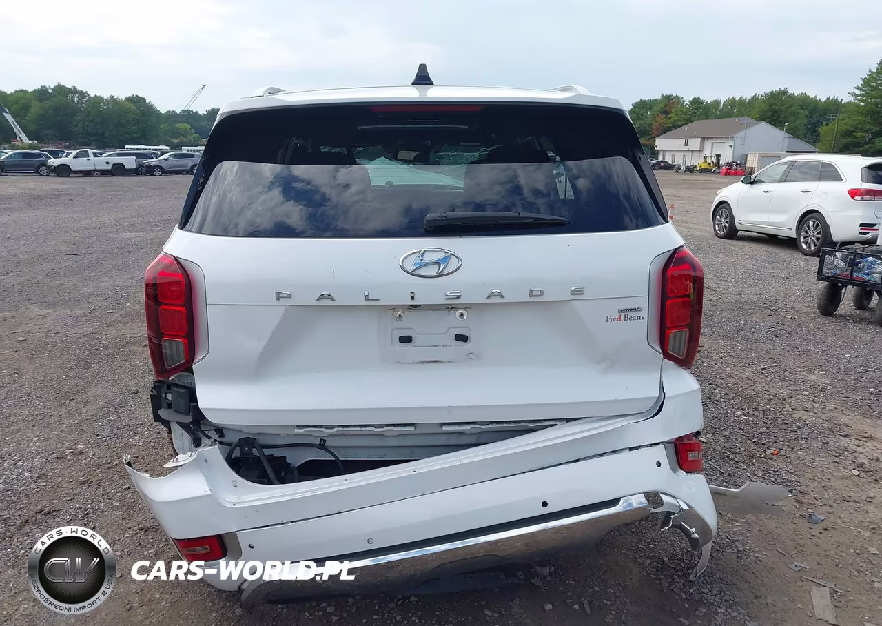 2020 Hyundai Palisade Limited VIN:KM8R5DHE8LU104986 - 17