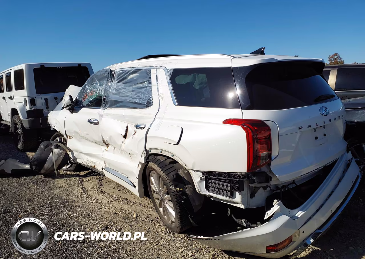 2020 Hyundai Palisade Limited VIN:KM8R5DHE8LU104986 - 18