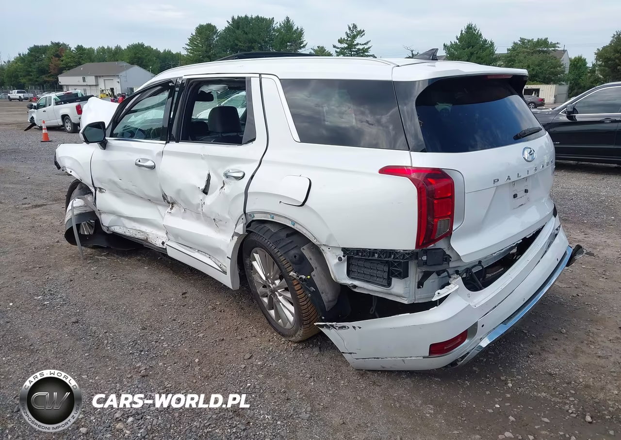2020 Hyundai Palisade Limited VIN:KM8R5DHE8LU104986 - 3