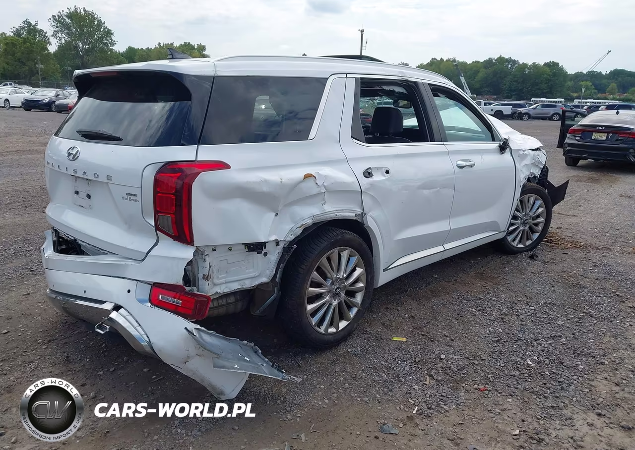 2020 Hyundai Palisade Limited VIN:KM8R5DHE8LU104986 - 4