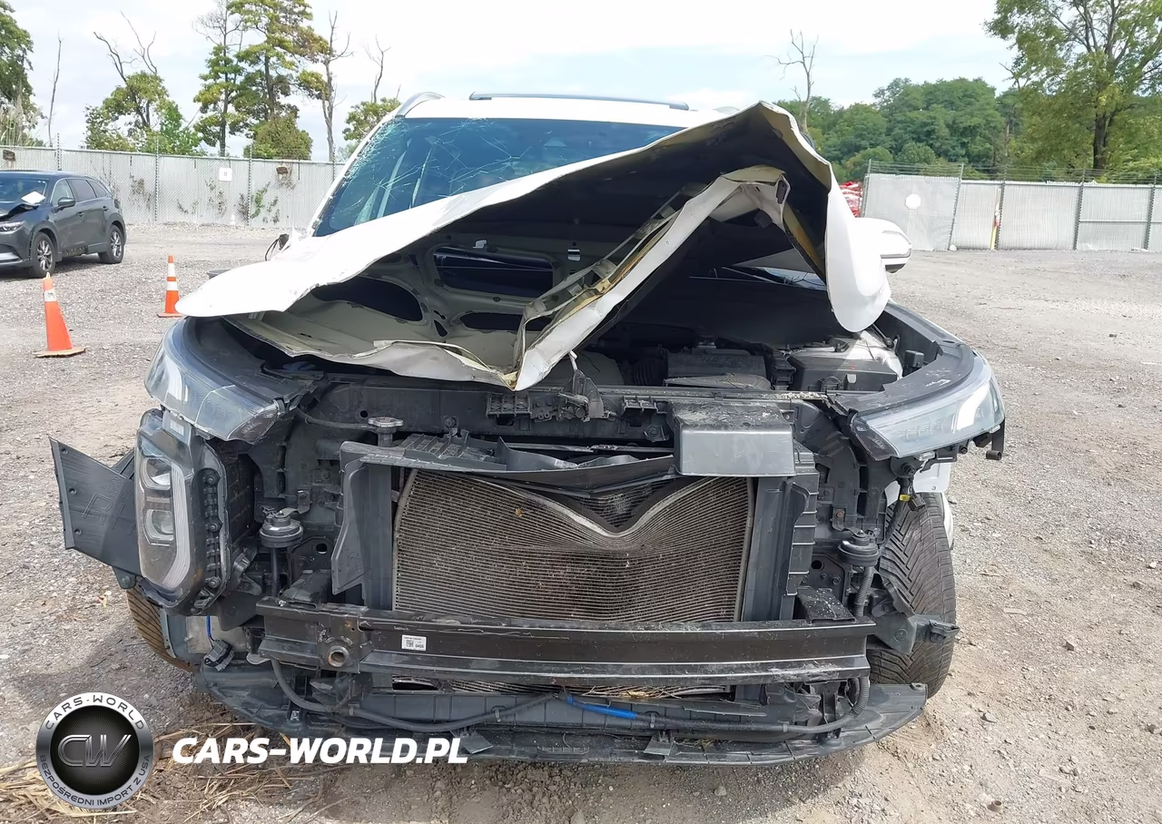 2020 Hyundai Palisade Limited VIN:KM8R5DHE8LU104986 - 6