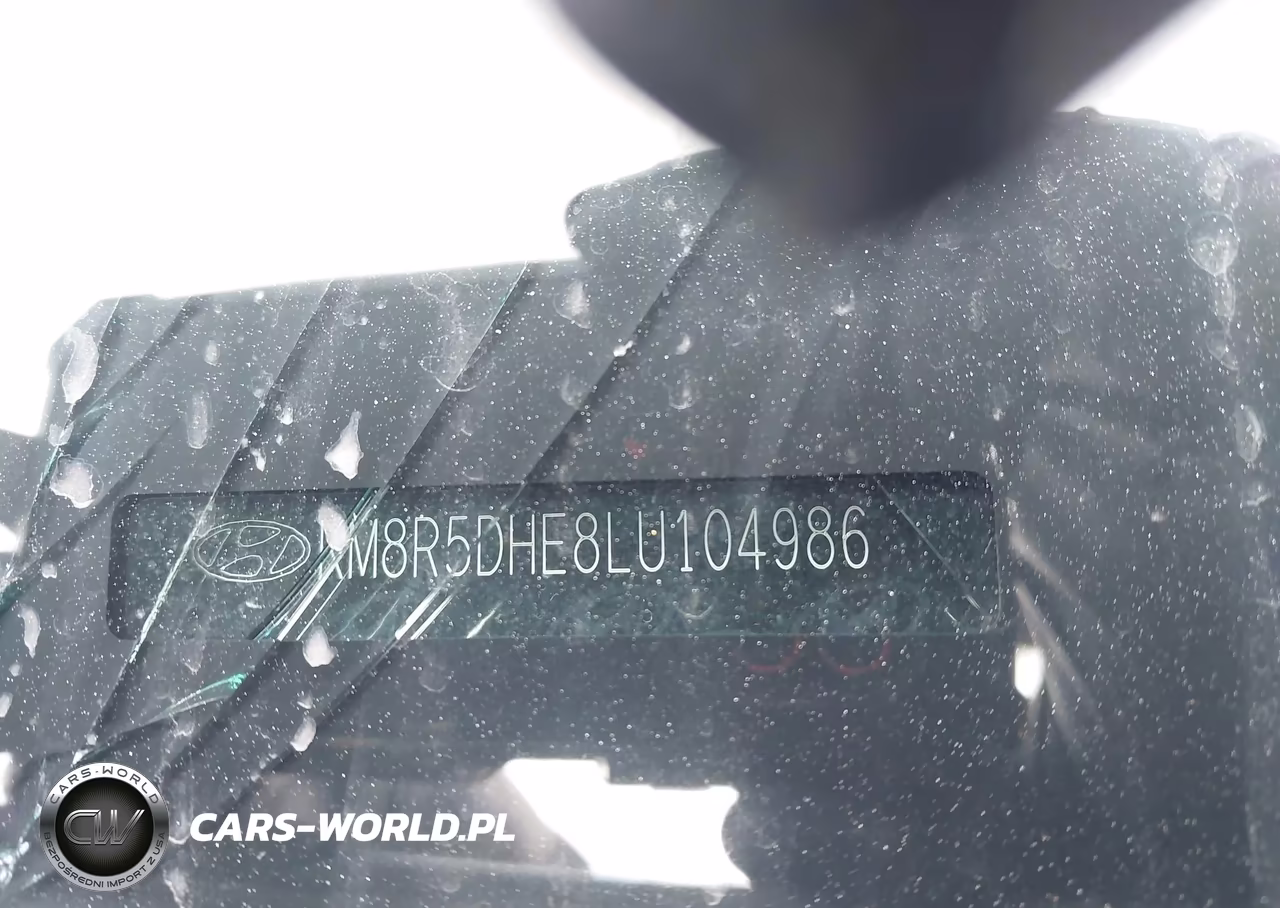 2020 Hyundai Palisade Limited VIN:KM8R5DHE8LU104986 - 9