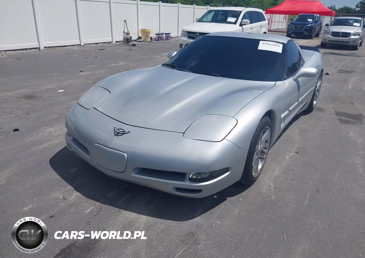 2002 Chevrolet Corvette VIN:1G1YY22G325111142 - 2