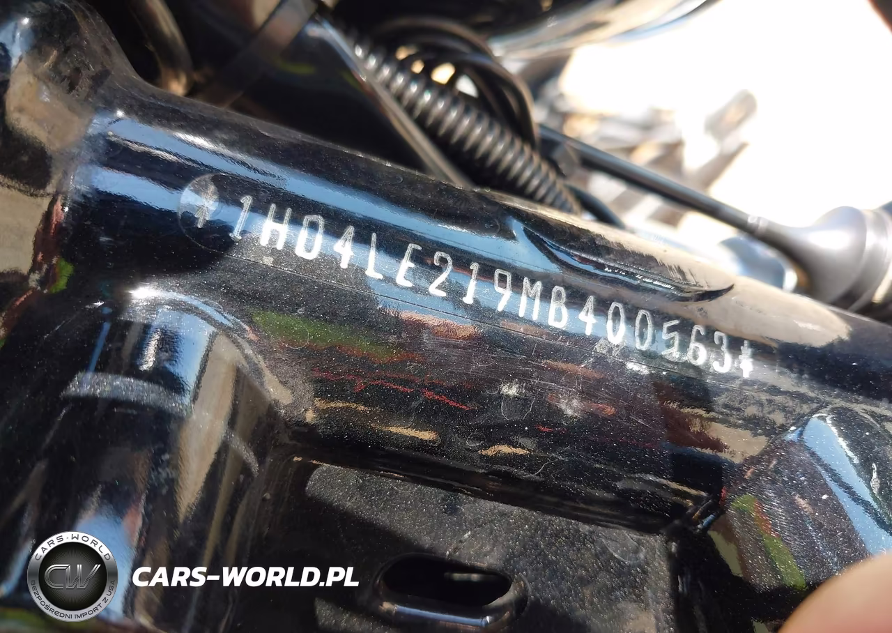 2021 Harley-Davidson Xl883 N VIN:1HD4LE219MB400563 - 10