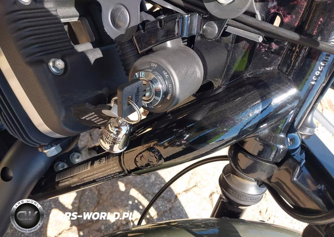 2021 Harley-Davidson Xl883 N VIN:1HD4LE219MB400563 - 11