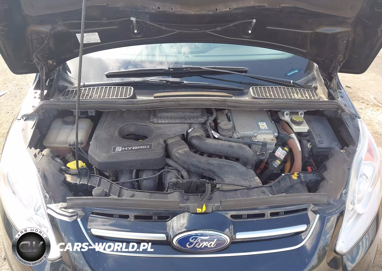 2016 Ford C-Max Hybrid Sel VIN:1FADP5BU3GL102224 - 10