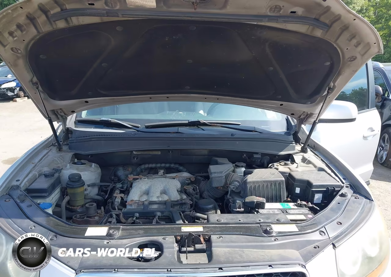 2007 Hyundai Santa Fe Limited-Se VIN:5NMSH13E87H020618 - 10
