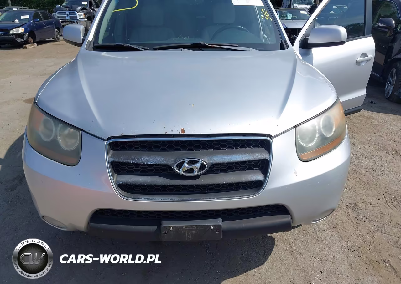 2007 Hyundai Santa Fe Limited-Se VIN:5NMSH13E87H020618 - 6