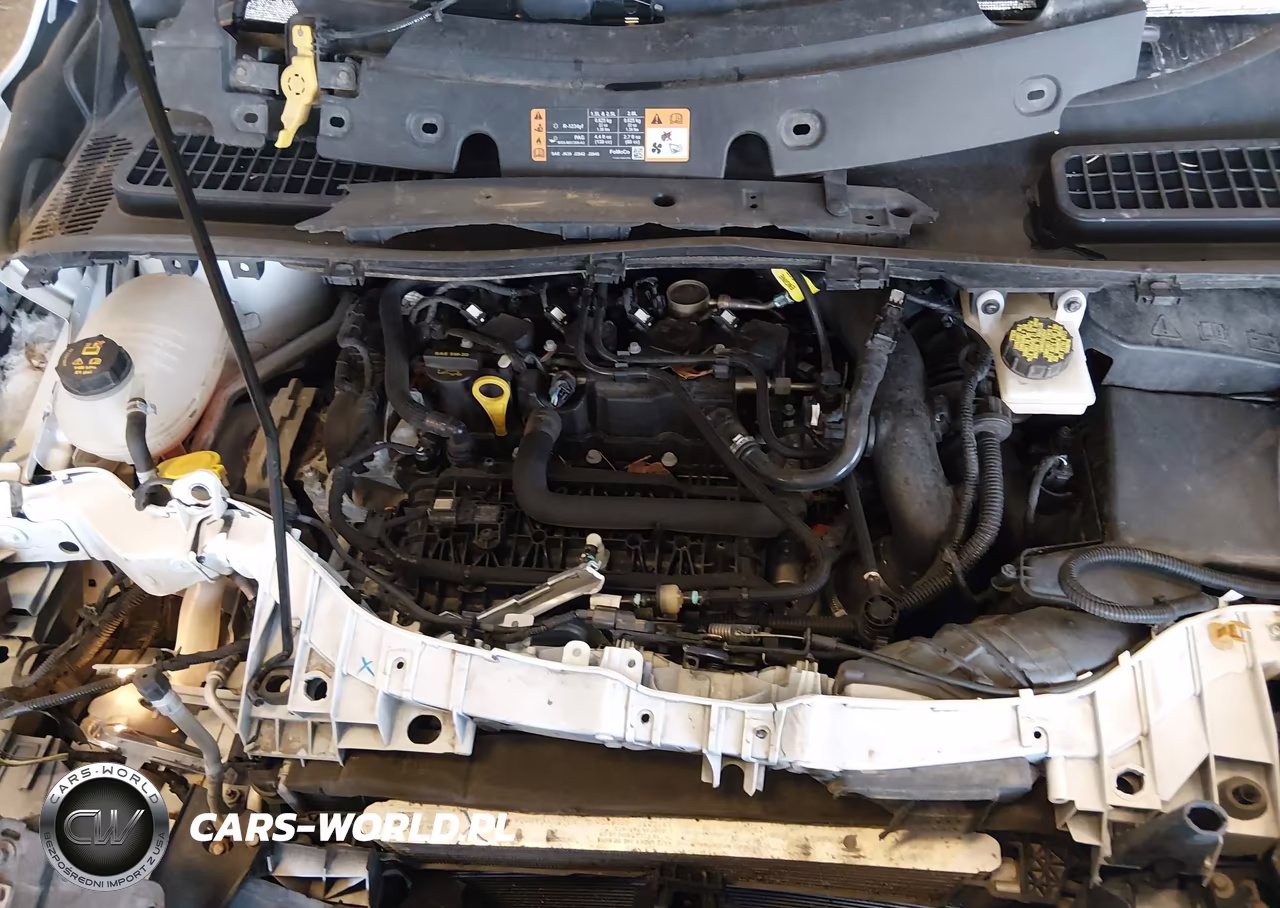 2019 Ford Escape Se VIN:1FMCU9GD2KUB39388 - 10