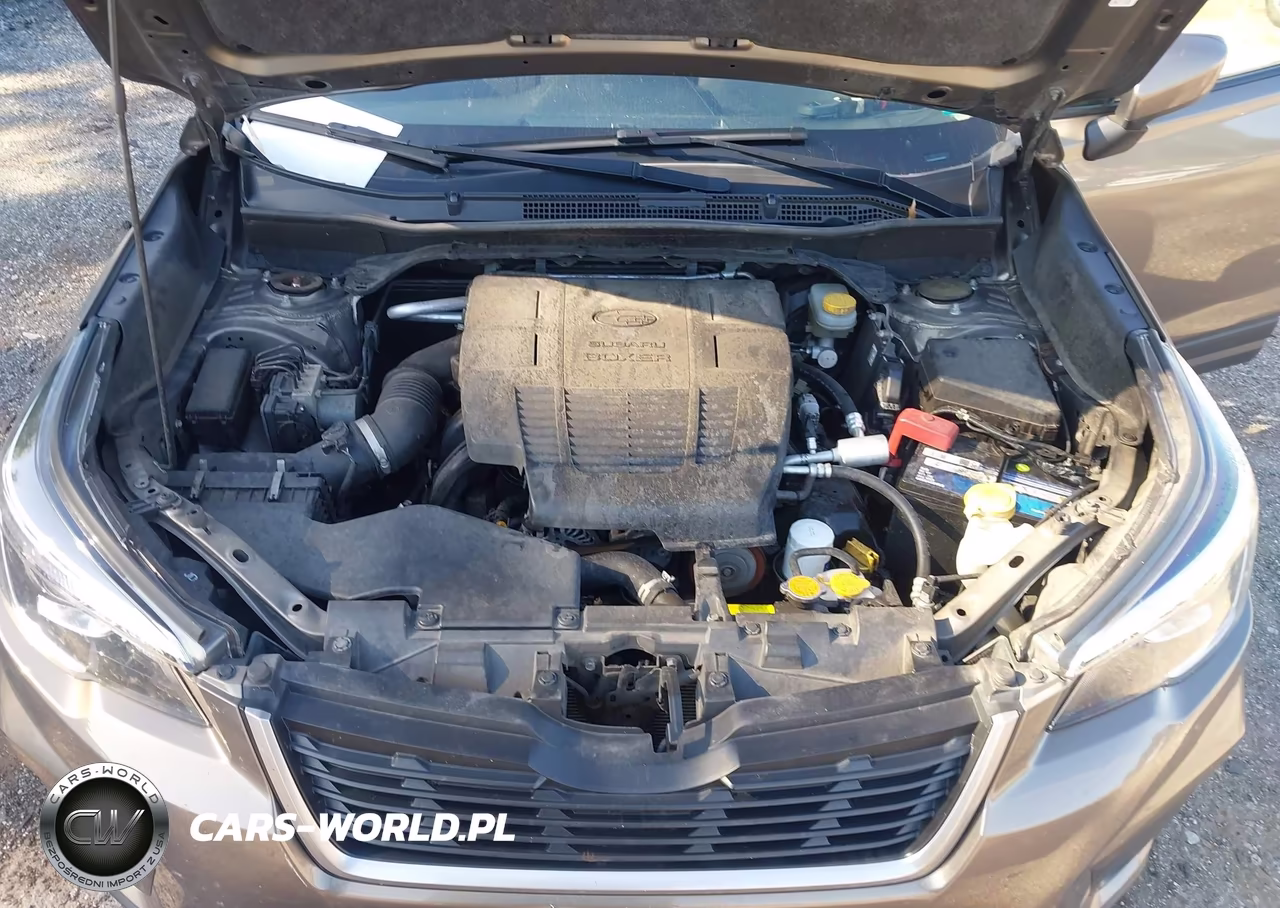 2019 Subaru Forester Premium VIN:JF2SKAEC5KH459493 - 10