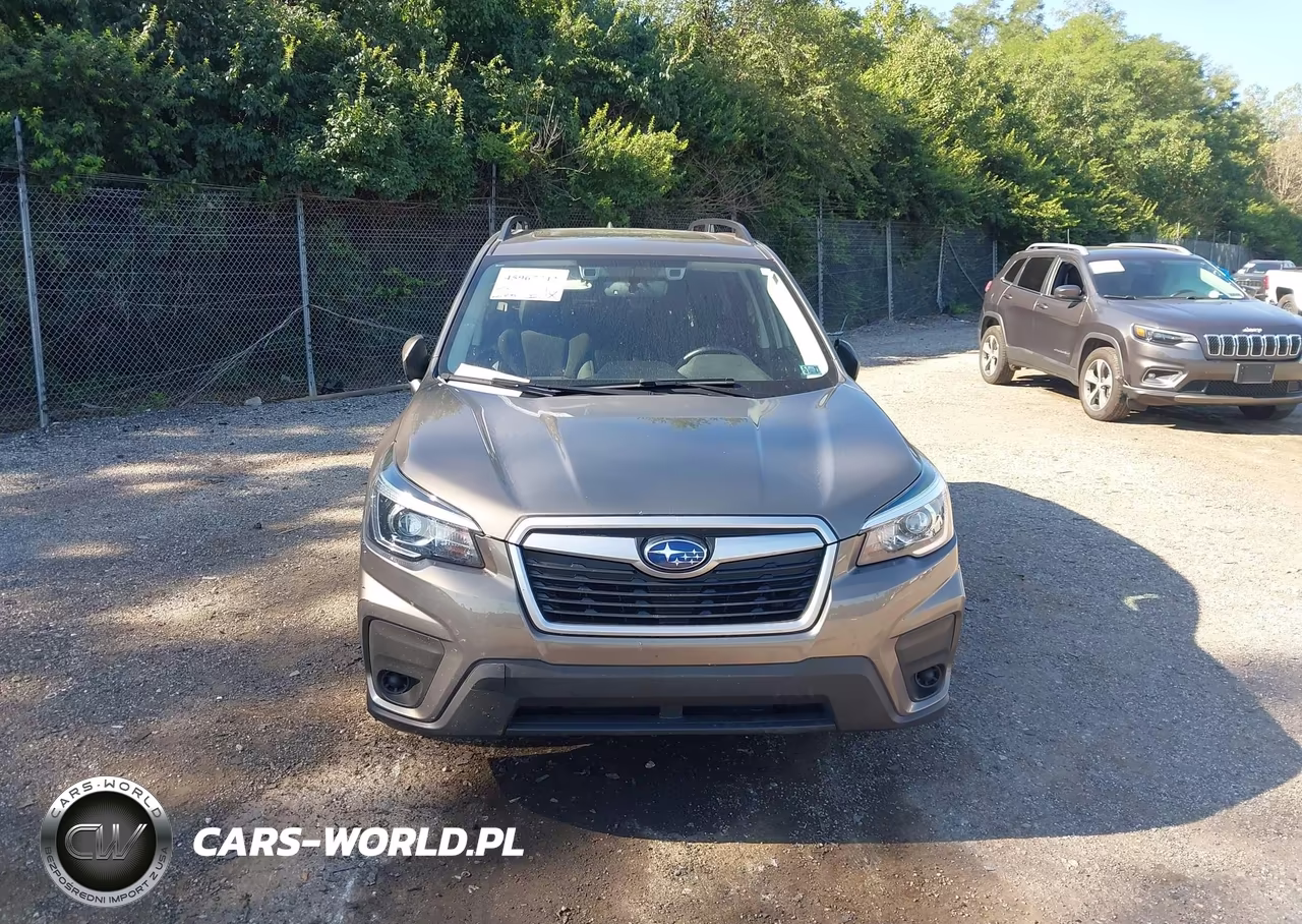 2019 Subaru Forester Premium VIN:JF2SKAEC5KH459493 - 12