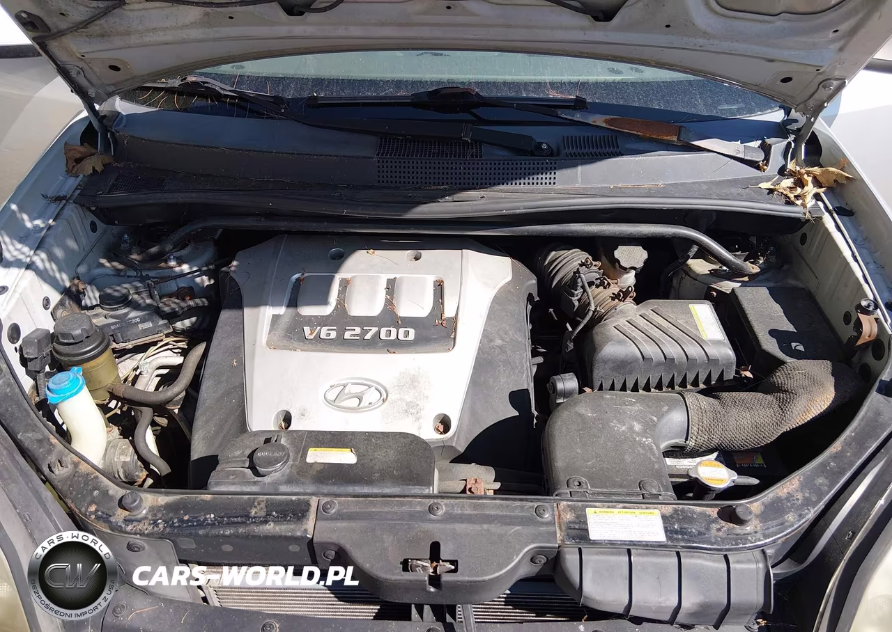 2005 Hyundai Tucson Gls-Lx VIN:KM8JN72D45U146346 - 10