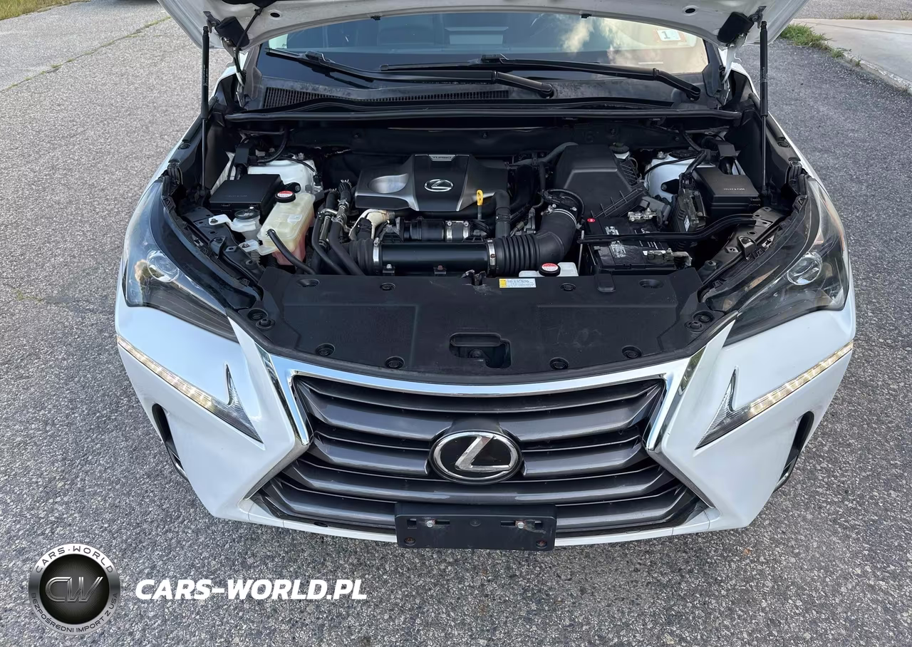 2015 Lexus Nx 200T VIN:JTJYARBZ5F2021629 - 10