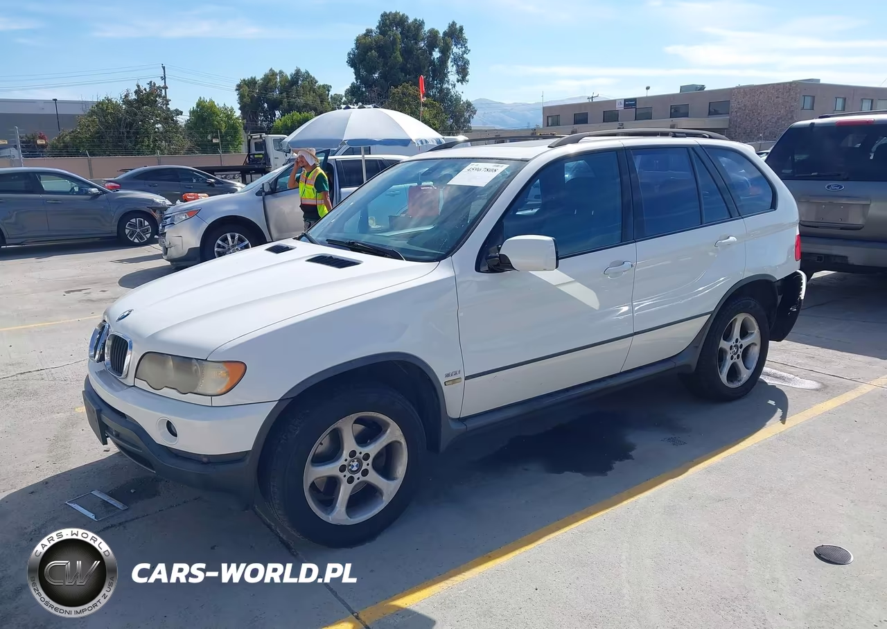 2002 BMW X5 3.0I VIN:5UXFA53522LP32254 - 2