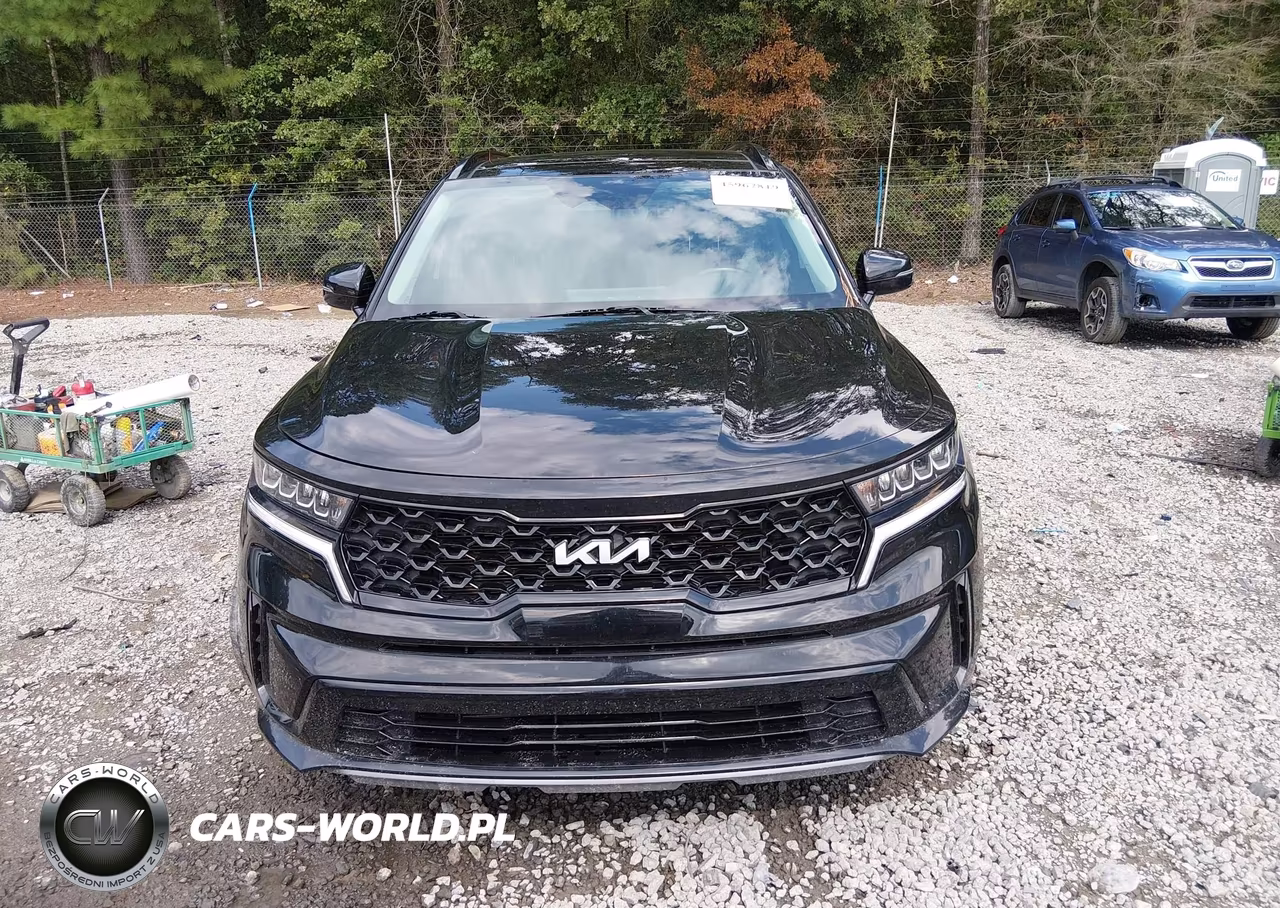 2023 Kia Sorento S VIN:5XYRL4LC8PG166914 - 12