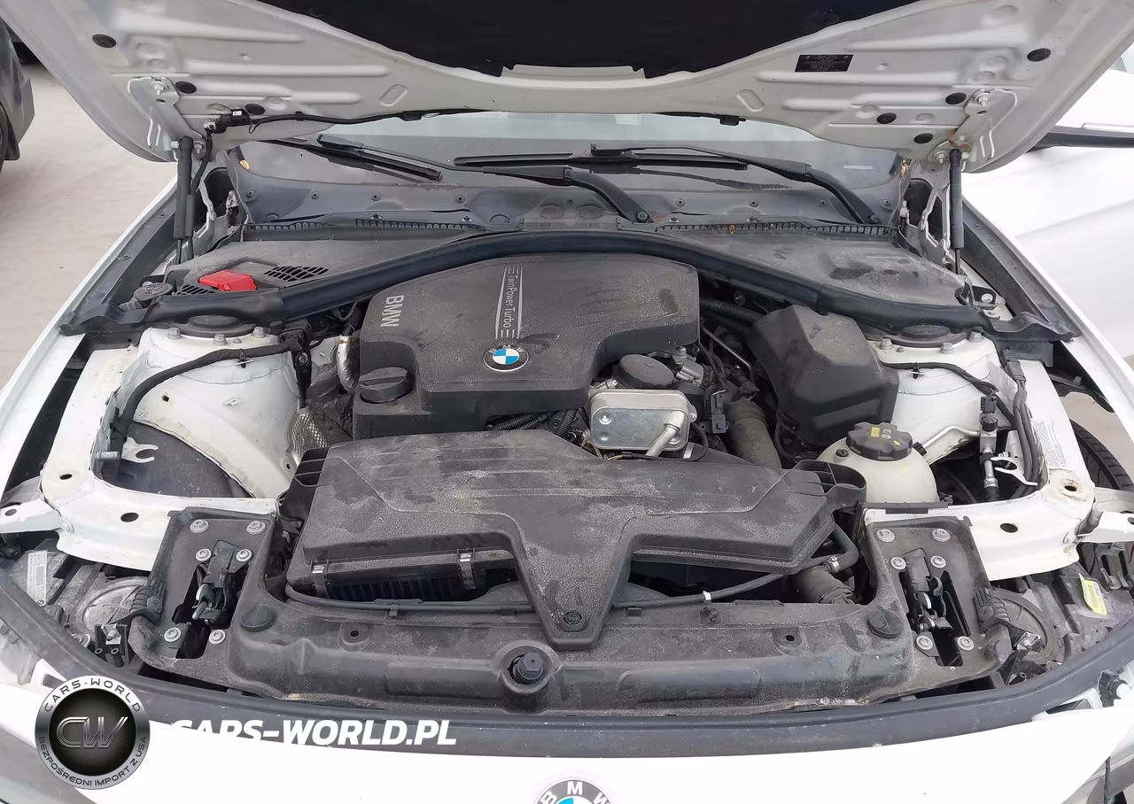 2015 BMW 320I VIN:WBA3B1G53FNT04415 - 10