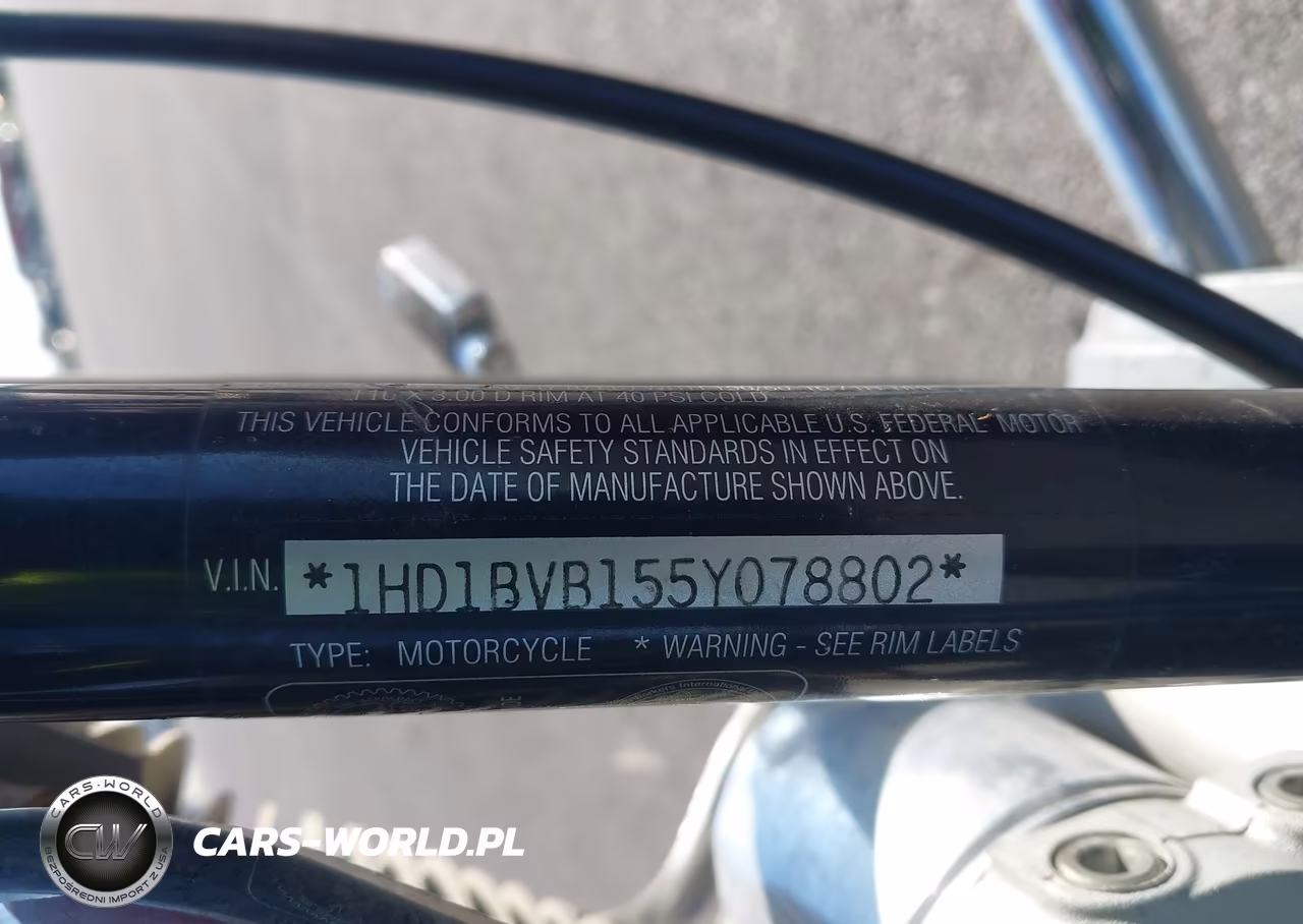2005 Harley-Davidson Fxsti VIN:1HD1BVB155Y078802 - 10