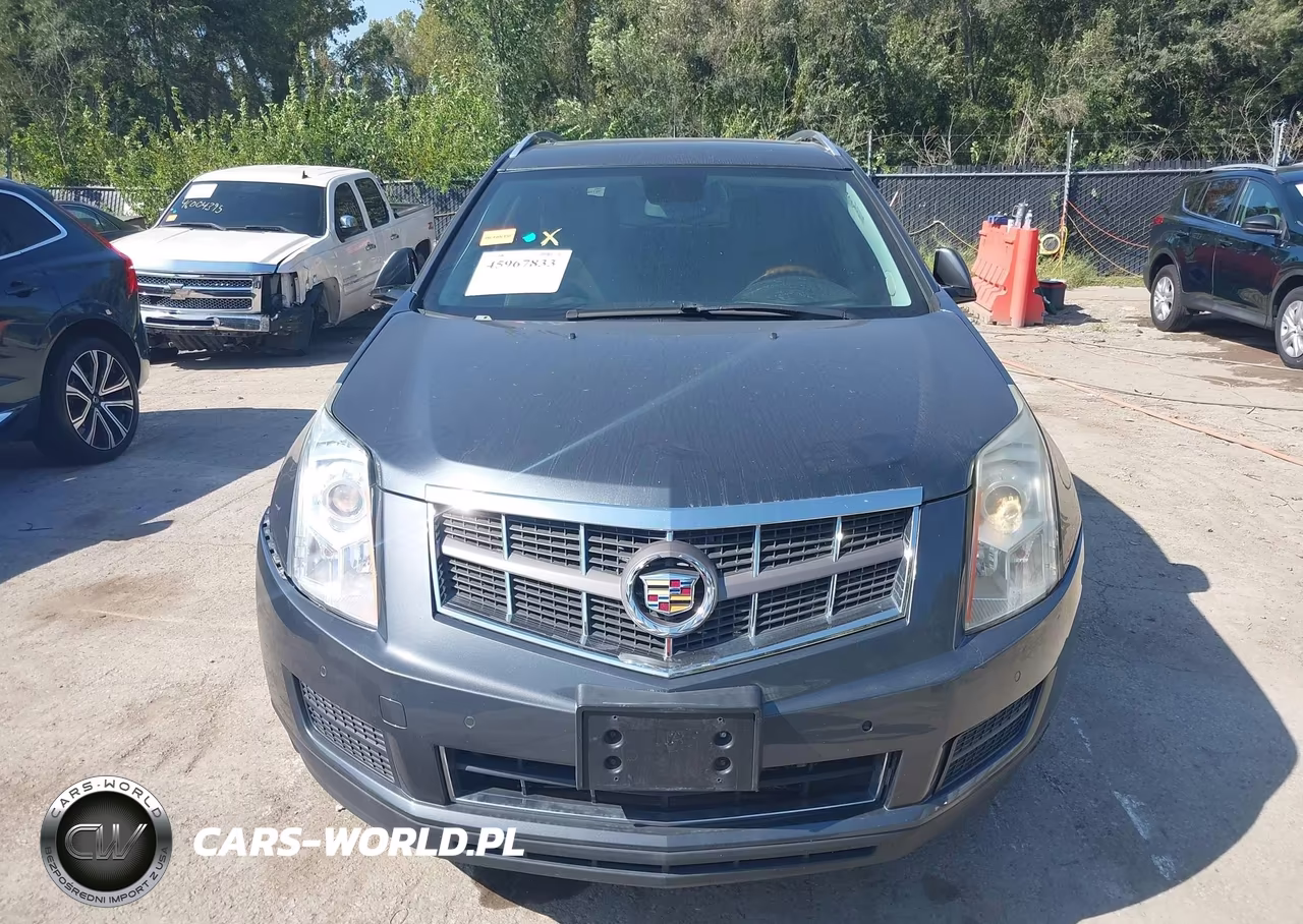 2010 Cadillac Srx Luxury Collection VIN:3GYFNDEY4AS629606 - 12