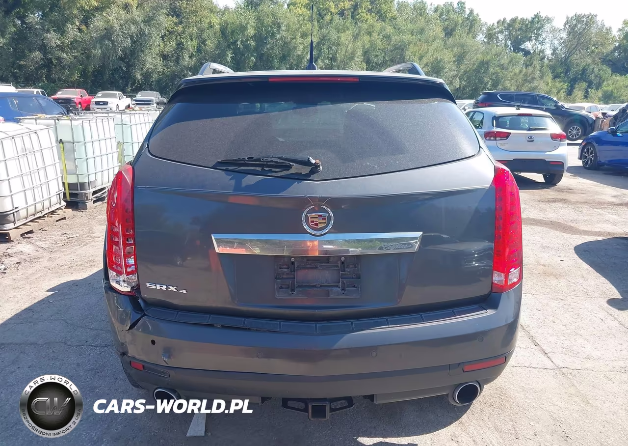 2010 Cadillac Srx Luxury Collection VIN:3GYFNDEY4AS629606 - 16