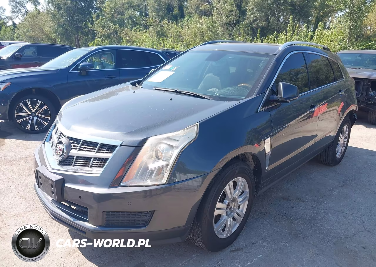 2010 Cadillac Srx Luxury Collection VIN:3GYFNDEY4AS629606 - 2
