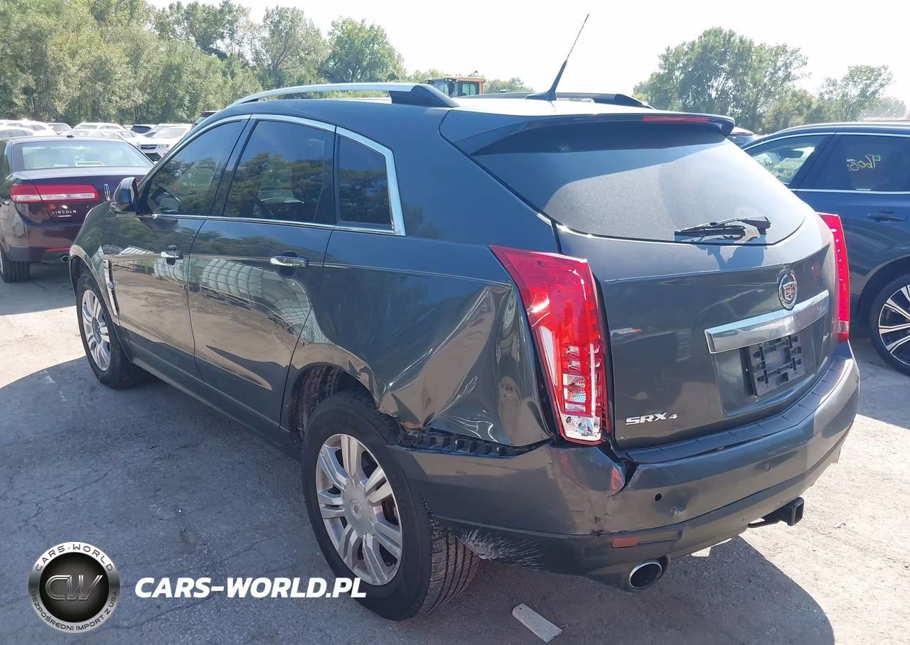 2010 Cadillac Srx Luxury Collection VIN:3GYFNDEY4AS629606 - 3