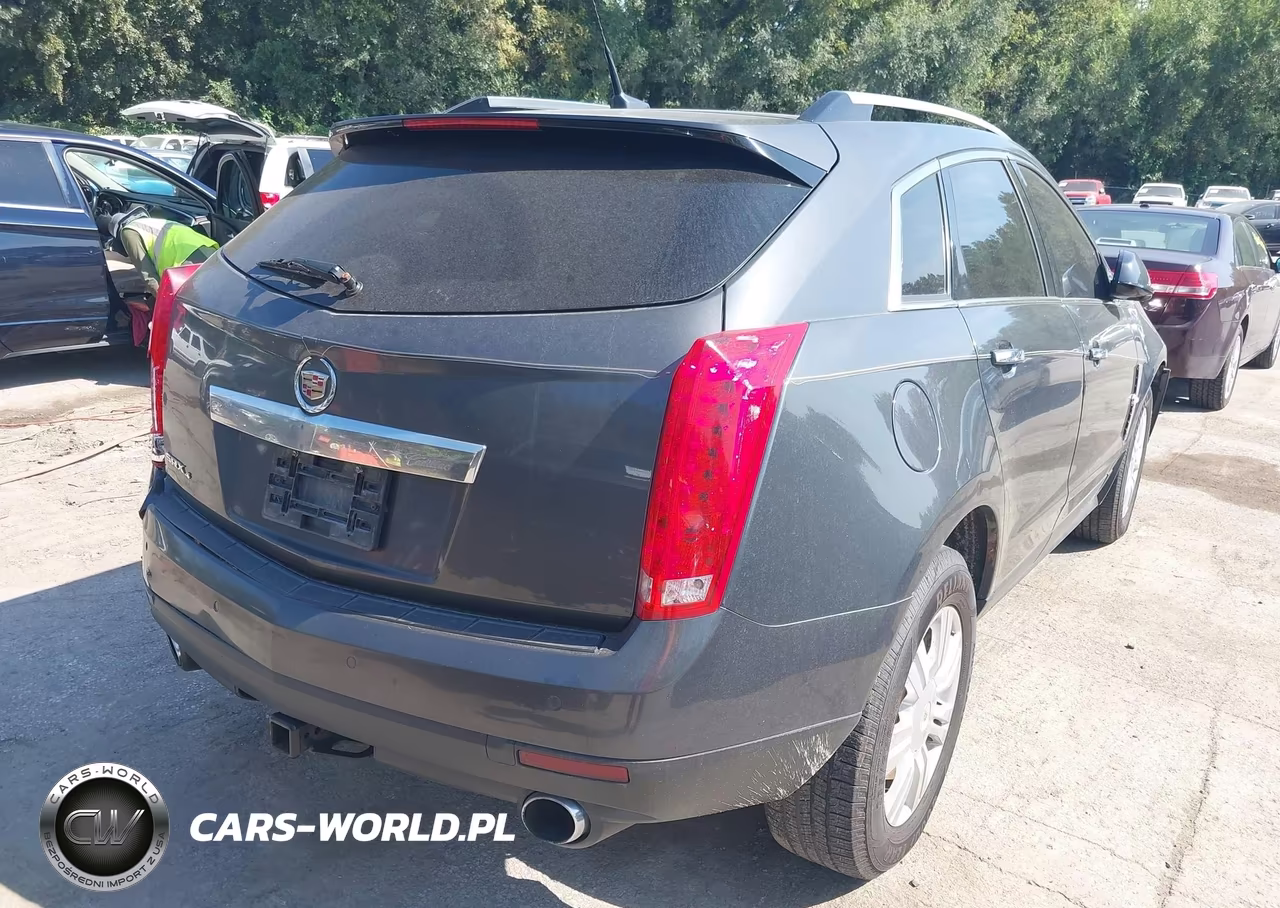 2010 Cadillac Srx Luxury Collection VIN:3GYFNDEY4AS629606 - 4