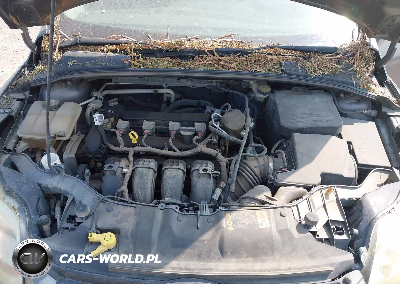 2014 Ford Focus Se VIN:1FADP3F29EL296493 - 10