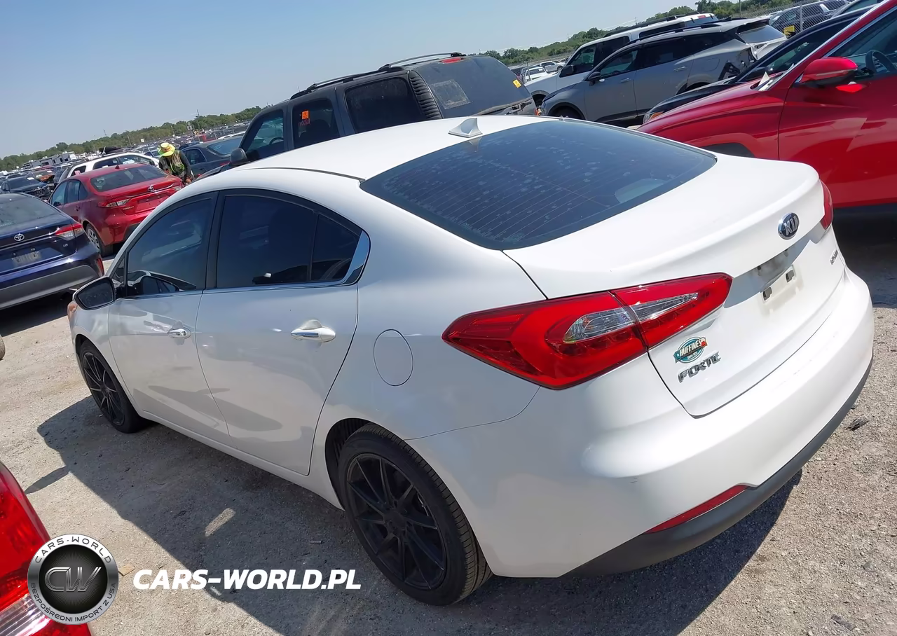 2015 Kia Forte Ex VIN:KNAFZ4A82F5370273 - 3
