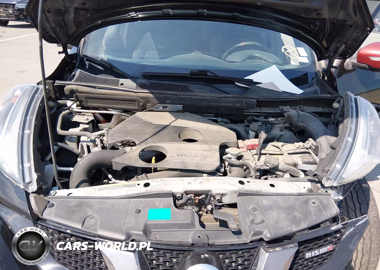 2015 Nissan Juke Nismo VIN:JN8AF5MV9FT555465 - 10