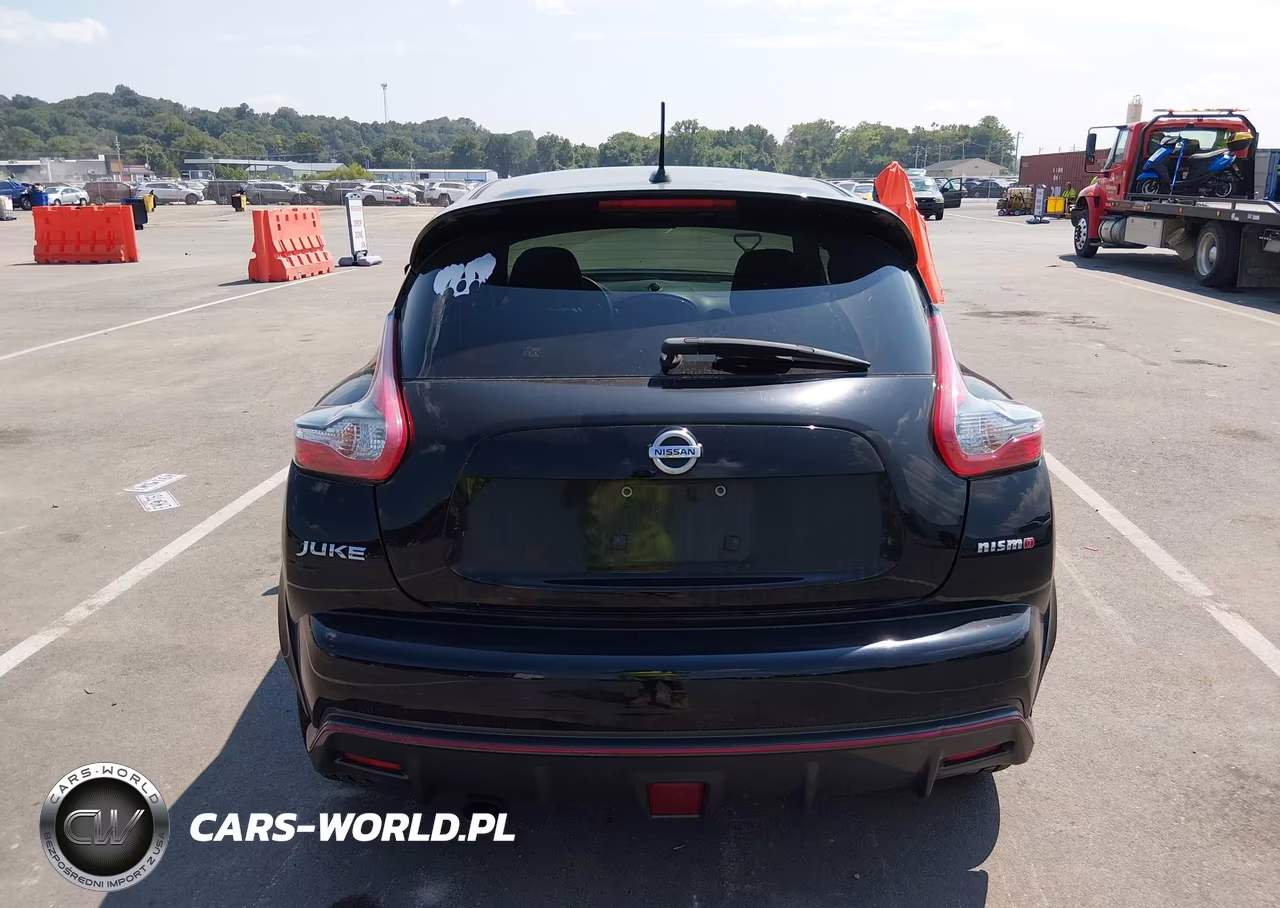 2015 Nissan Juke Nismo VIN:JN8AF5MV9FT555465 - 17