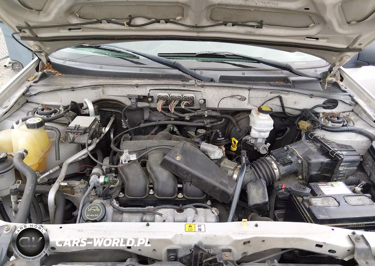 2007 Ford Escape Limited VIN:1FMCU941X7KB43671 - 10