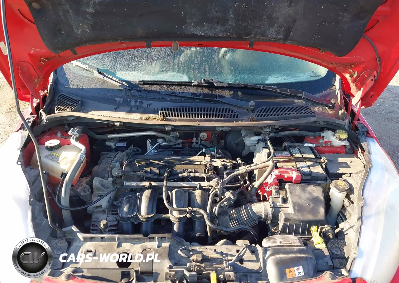 2013 Ford Fiesta Se VIN:3FADP4EJ5DM129785 - 10