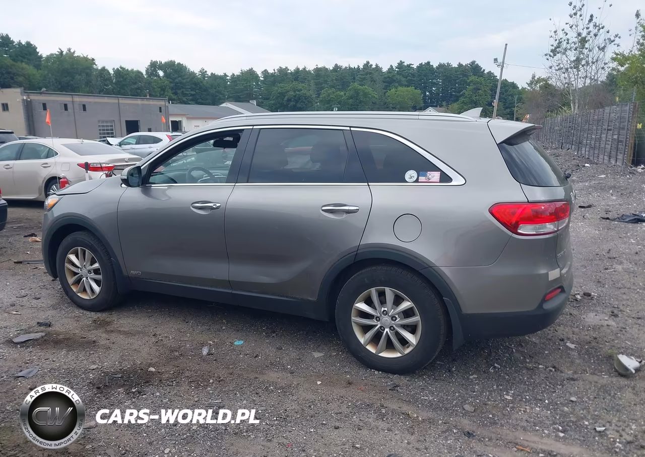 2018 Kia Sorento 2.4L Lx VIN:5XYPGDA39JG409992 - 14