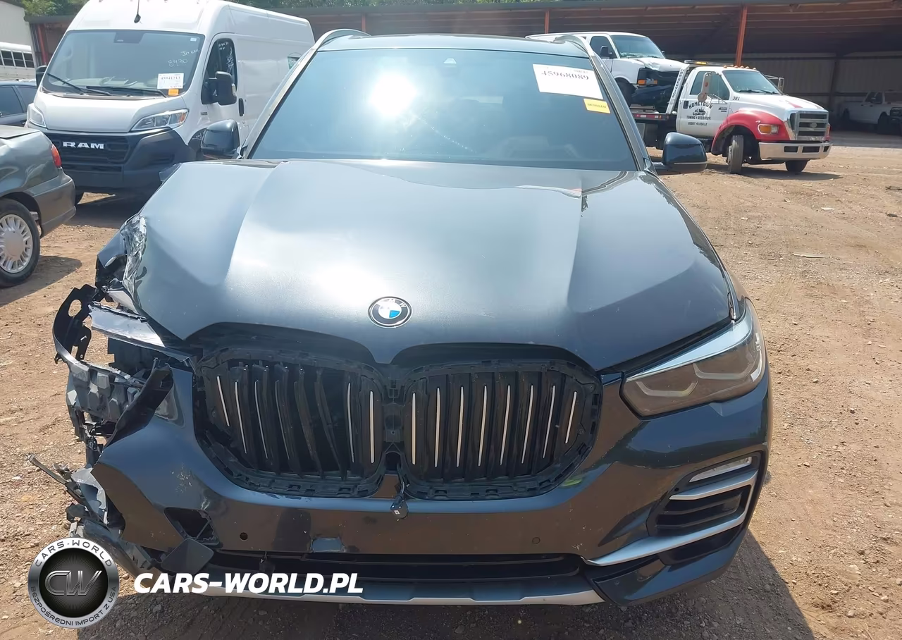 2021 BMW X5 Sdrive40I VIN:5UXCR4C09M9H48061 - 12