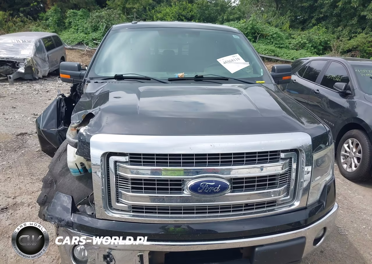 2014 Ford F-150 Xlt VIN:1FTFW1ET2EFB68325 - 12