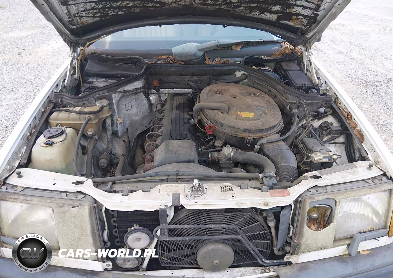 1987 Mercedes-Benz 300 E VIN:WDBEA30D3HA545783 - 10