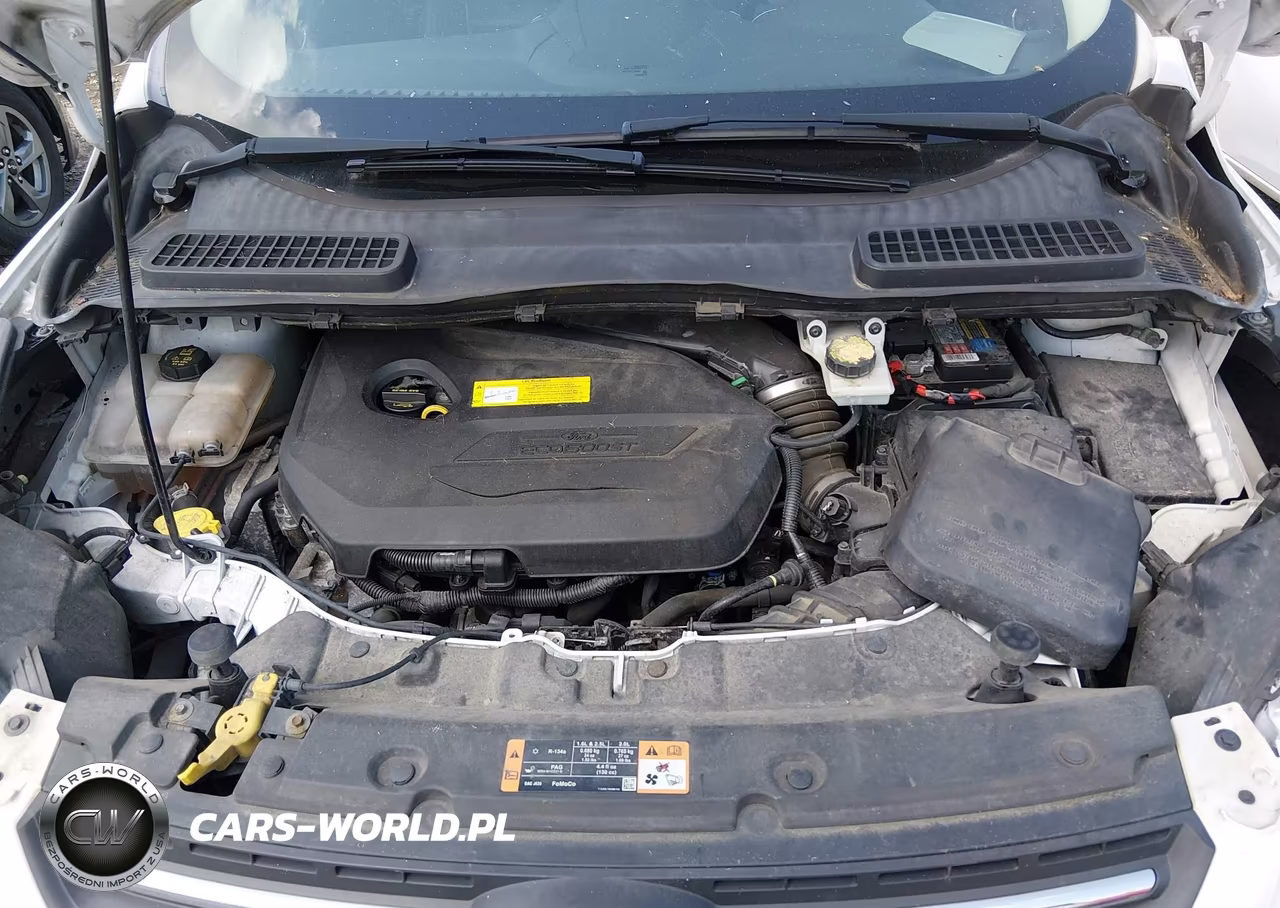 2015 Ford Escape Se VIN:1FMCU9GX5FUB47498 - 10